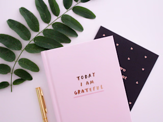Sales page copy - gratitude journal