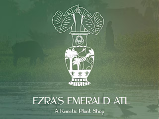 Ezra's Emerald ATL | Illustrative Brand Design
