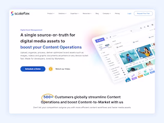 Scaleflex Webflow Development