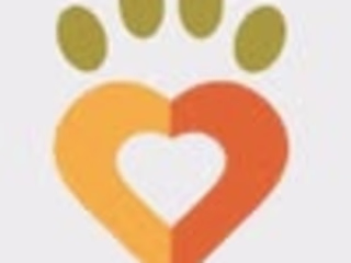 Dharamsala Animal Rescue 