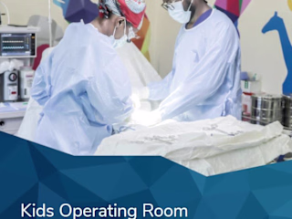Spanish translation for an International Health Organization