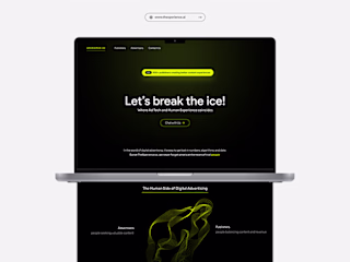 Website UI : thexperience.ai