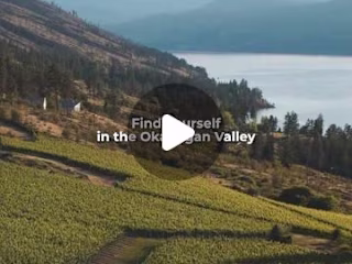 Instagram Reel - Wine BC video