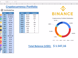 Real-time Cryptocurrency Portfolio Tracker