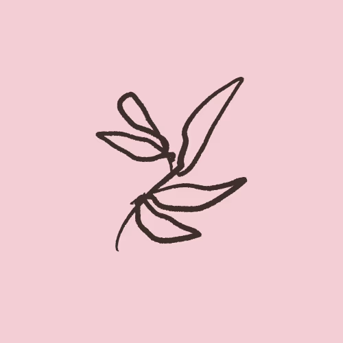 Placeholder project card media