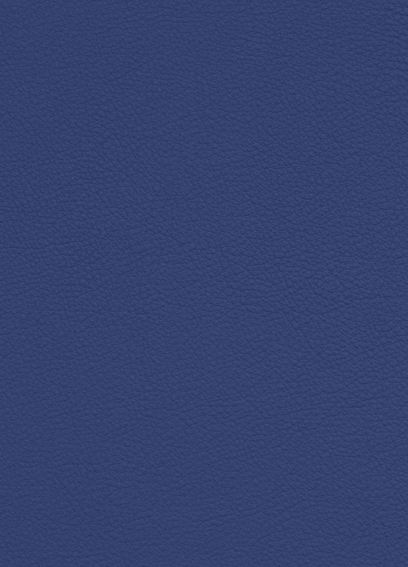 Placeholder project card media
