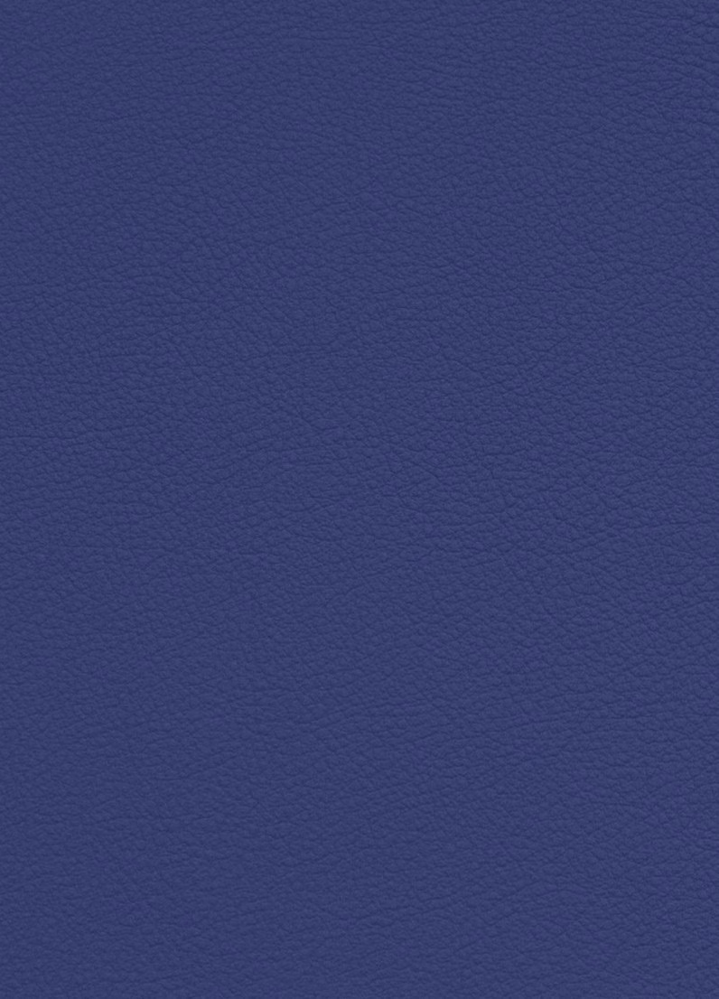 Placeholder project card media