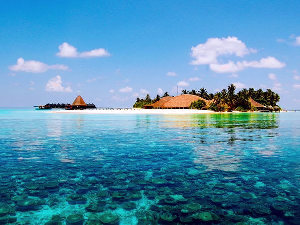 Placeholder project card media