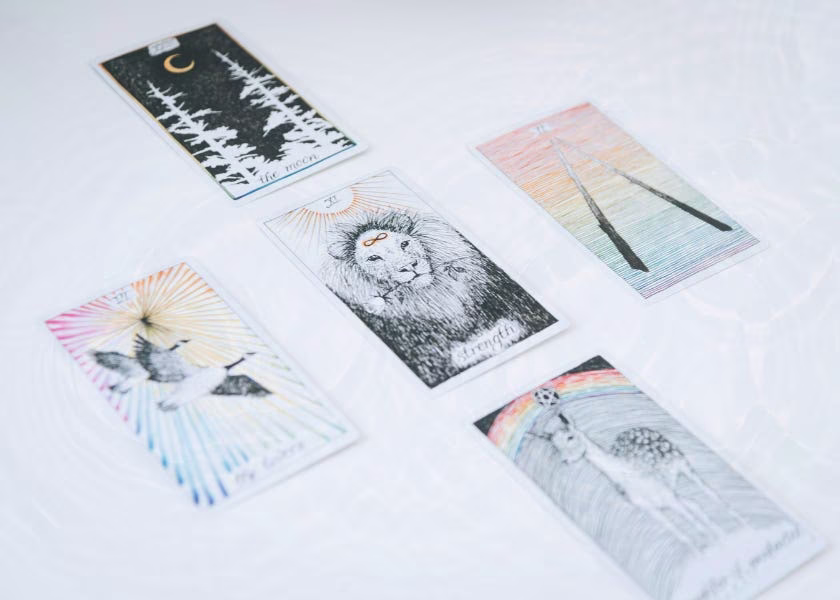 Placeholder project card media