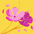 Gayu avatar