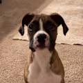Vanessa avatar