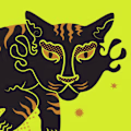 Casey avatar