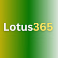 Lotus365  avatar