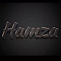 Ch Hamza  avatar