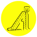 Ary avatar