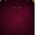 Ron avatar