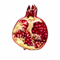 Snigdha avatar