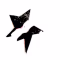Mirage avatar