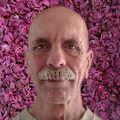 Curtis avatar