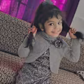 Haseeb avatar