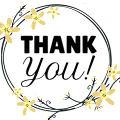 Bushra avatar