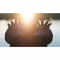 Marqueshia avatar