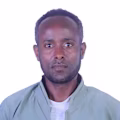 Mesfin avatar