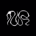 nr.graphix avatar
