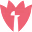 Tavus