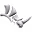 Rhino 3D