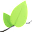 Leaflet