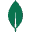 MongoDB