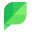 Sprout Social