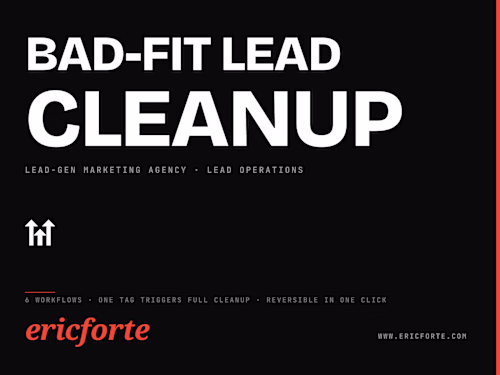 Automated Lead Disqualification System for Marketing Agencies