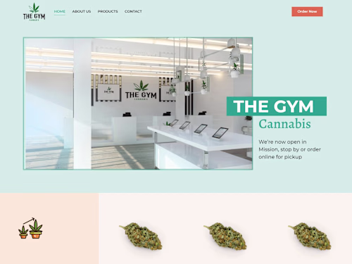 TheGym WordPress Website Development
We design