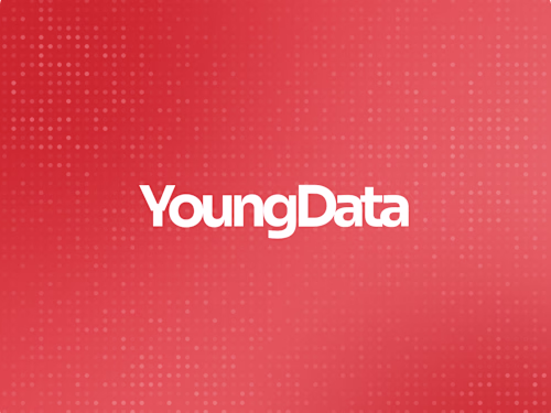 Youngdata: A Webflow Integration Tailored for Impact