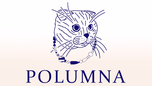 Branding & packing for POLUMNA (UA handcrafted jewelry) on Beha…