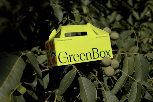 Visual Identity for a Plant E-commerce Brand