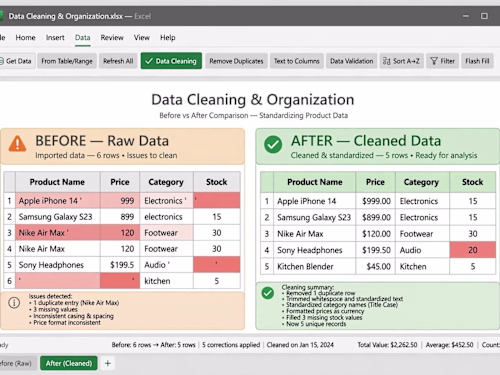 Excel Data Cleaning & Organization