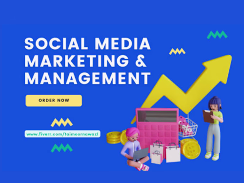 Social Media Marketing Manager and Content Creator