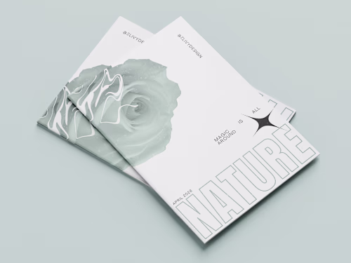 Editorial Design | Zine | Art Direction