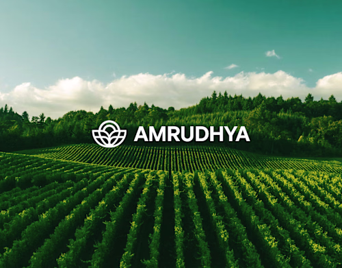 Amrudhya | Agriculture Export Logo Design