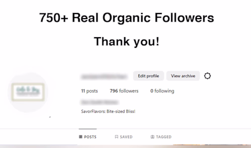 Instagram Organic Followers Growth