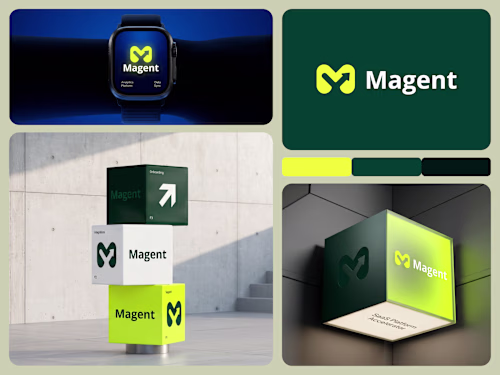 Megnet — Building a Digital