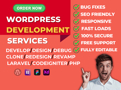 You will get website design, redesign, upgrade on WordPress, php