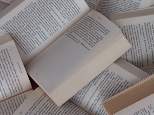 Erotic Books Are Taking Over the World — Here’s Why You Need to…