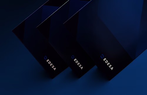 Brand Identity and Web Design for EDESA