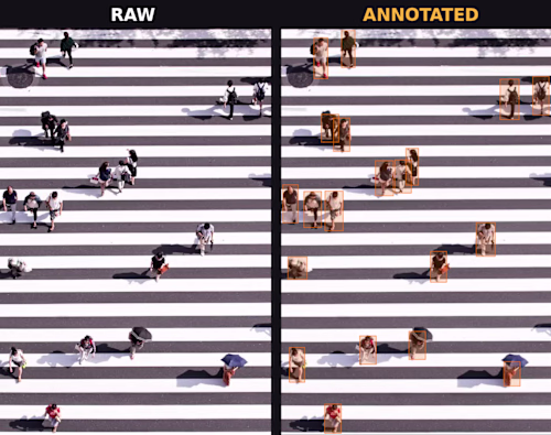Bounding box annotation on a