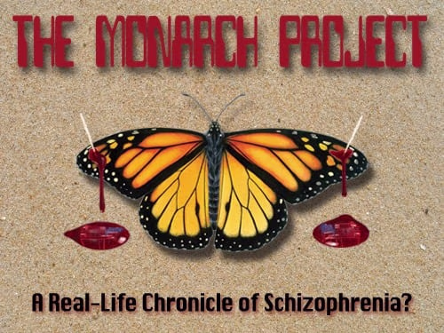 Screenplay Consult: Monarch Project