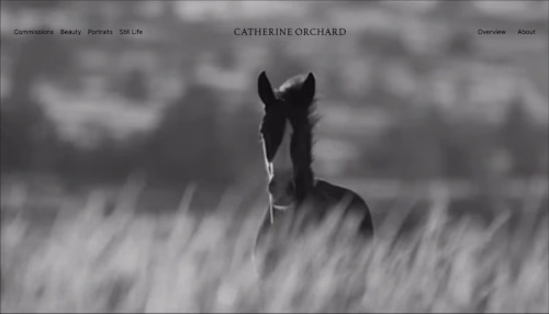 Video-Led Homepage Hero for a Filmmaker
